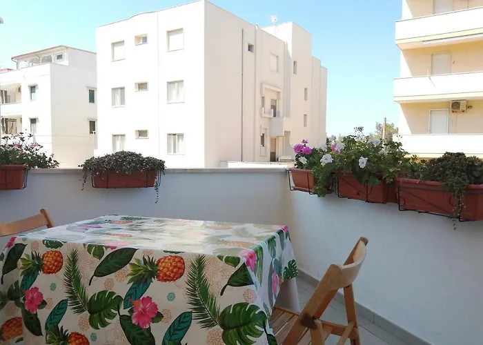 House Lido
