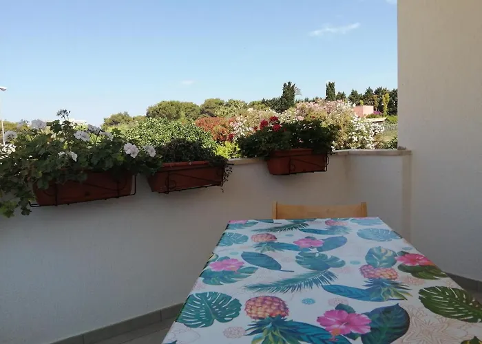 House Lido