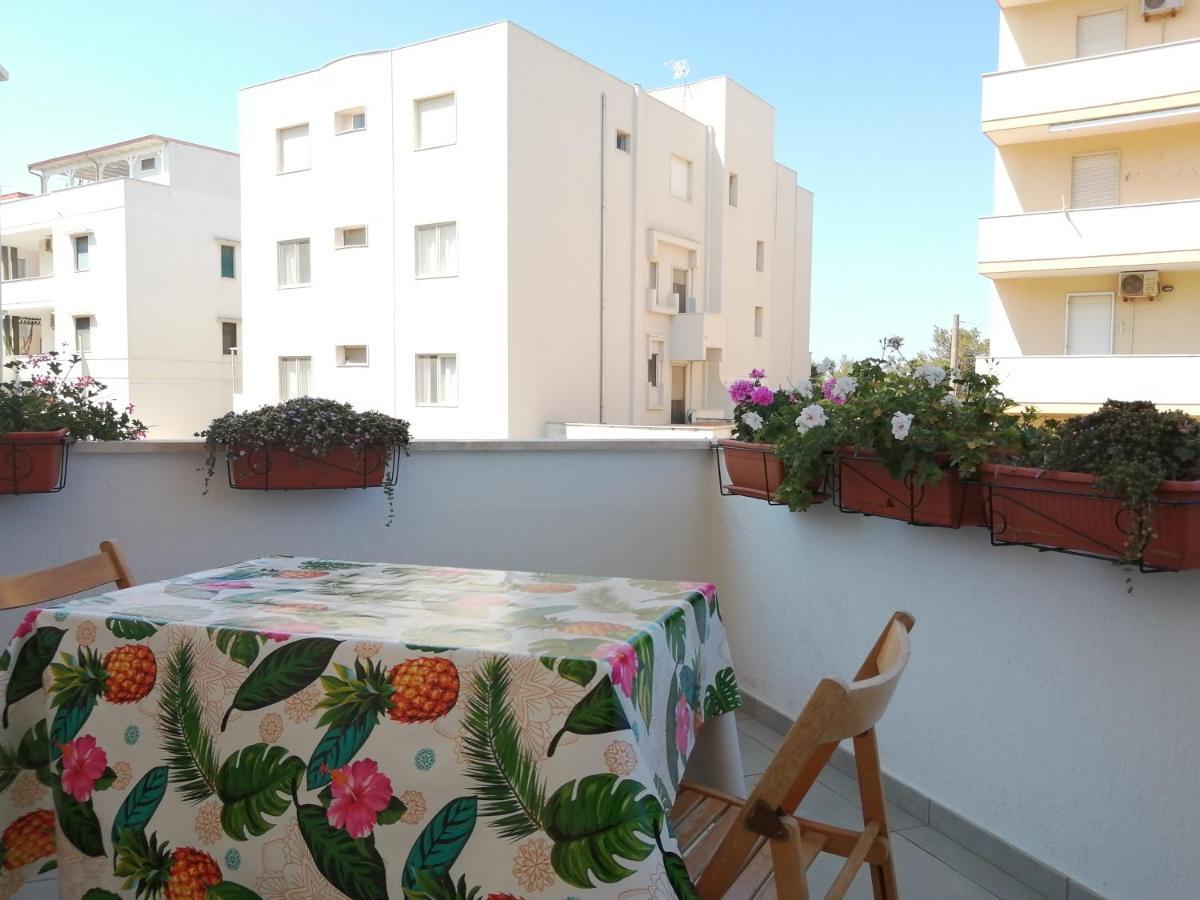 House Lido Holiday home